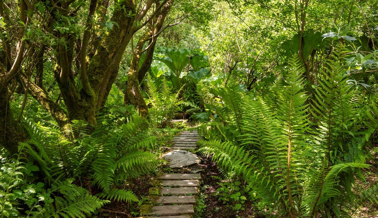 Verdant flora surrounds the pathways, leading you to discover the rest that Kudhva has to offer...