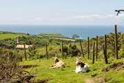 You'll become well acquainted with the resident goats, Lincoln and Mississippi before you leave this enchanting landscape.