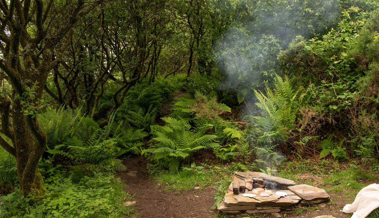 Why not cook over wood fire during your off-grid getaway? 