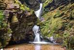 The truly enchanting St Nectan's Glen is close by and is not to be missed! 