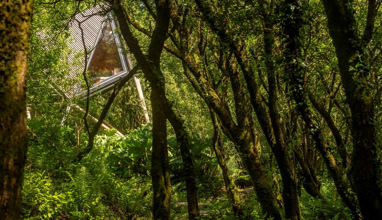 Hidden amongst the trees of a old quarry.