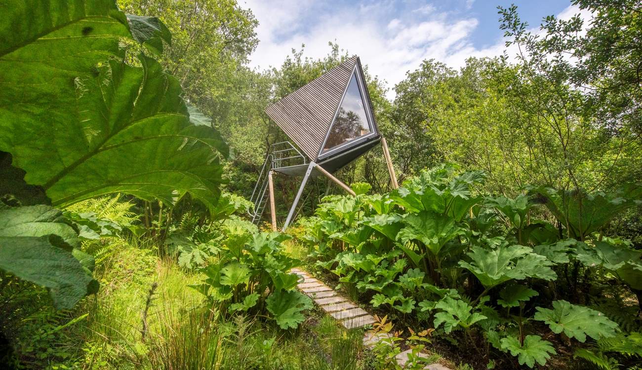 An unforgettable stay like no other.