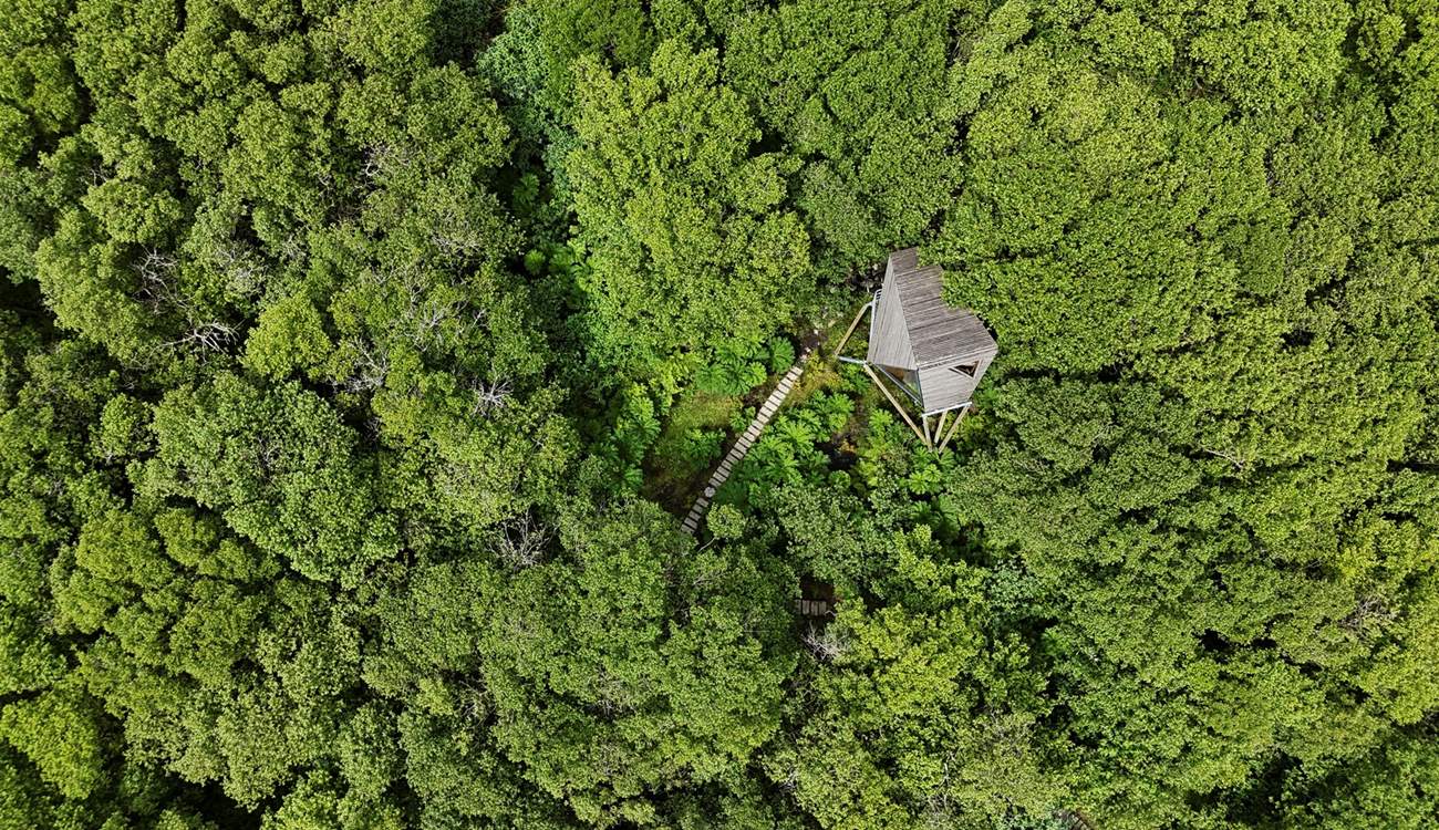 Reden is your unique off-grid getaway. 