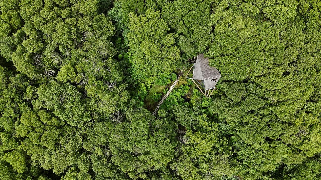 Reden is your unique off-grid getaway.