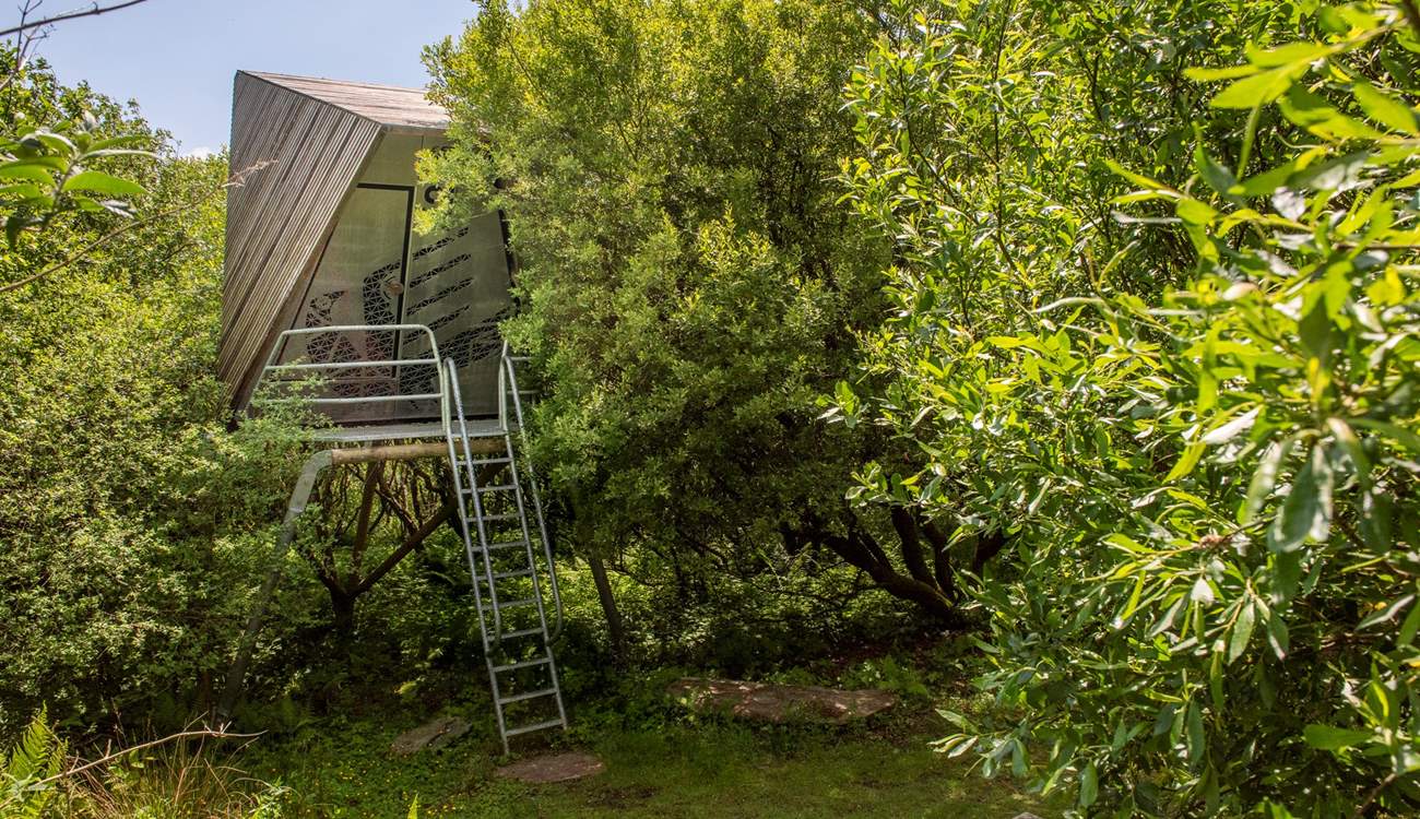 Recharge your soul with an escape to nature.