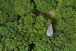 A bird's eye view of Edhen, surrounded by trees