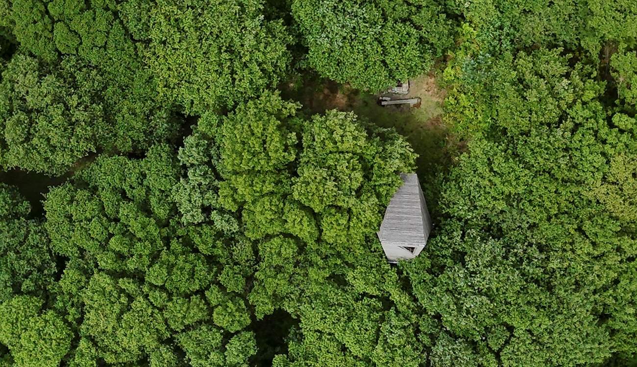 A bird's eye view of Edhen, surrounded by trees