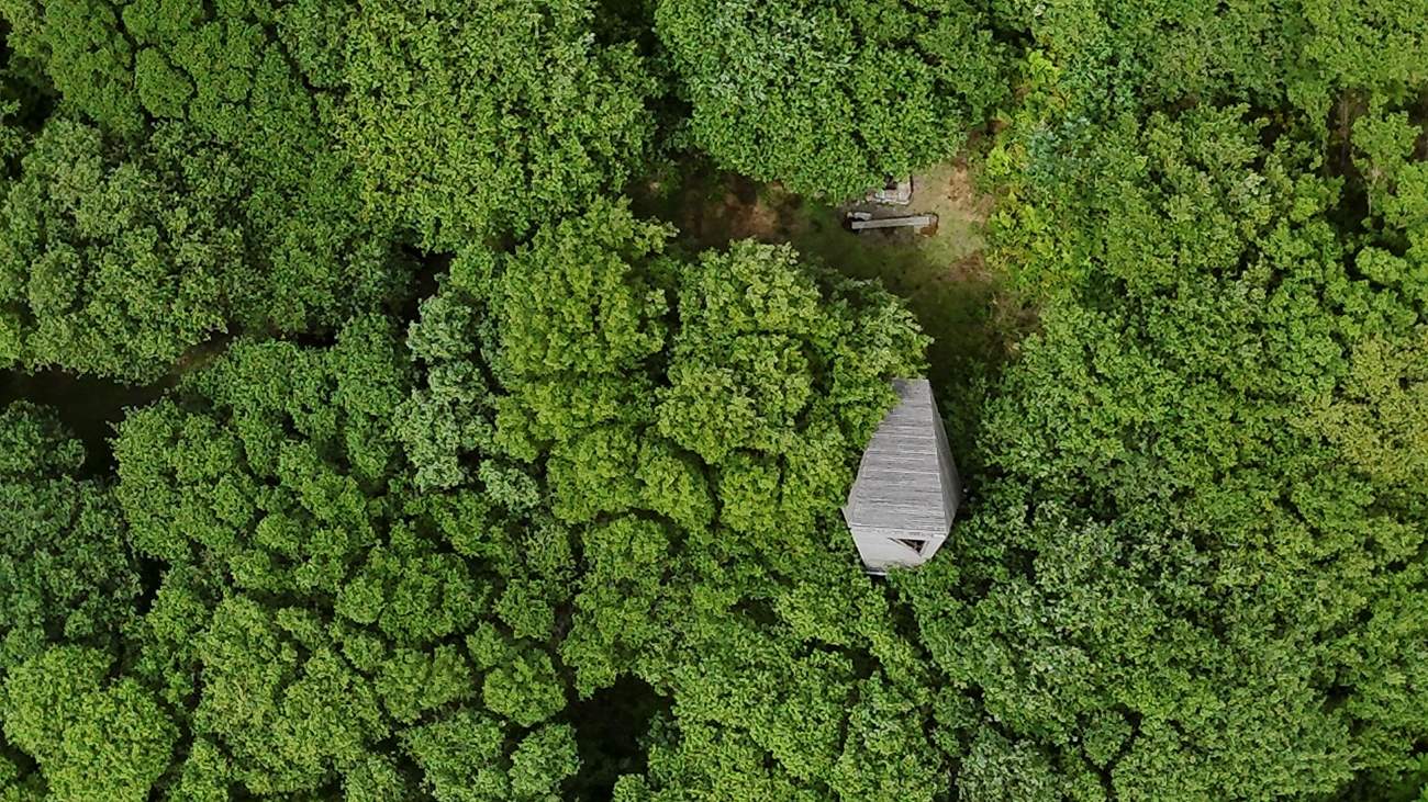 A bird's eye view of Edhen, surrounded by trees