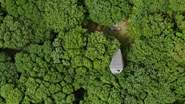 A bird's eye view of Edhen, surrounded by trees