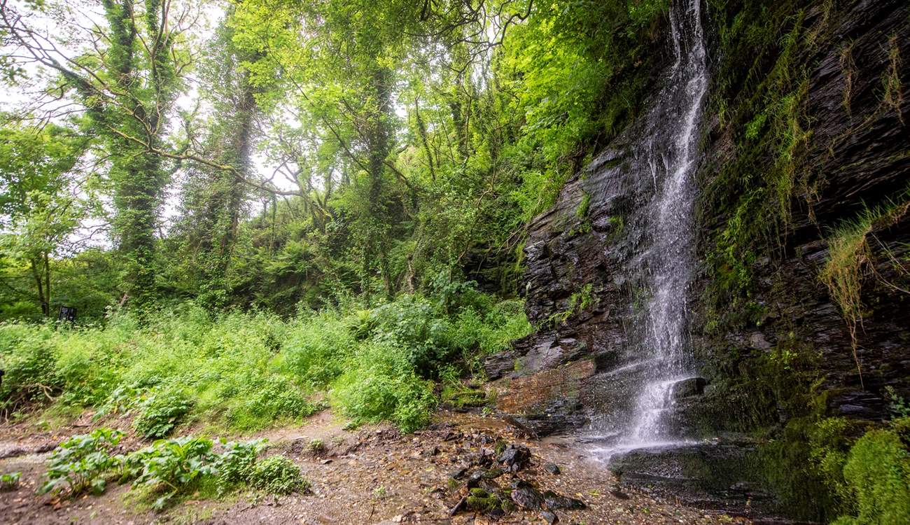 Venture down to the famous waterfall.