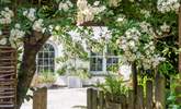 The rambling rose puts on a real show above the garden gate. - Thumbnail Image