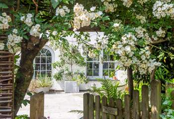The rambling rose puts on a real show above the garden gate.