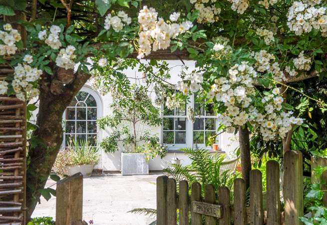The rambling rose puts on a real show above the garden gate.