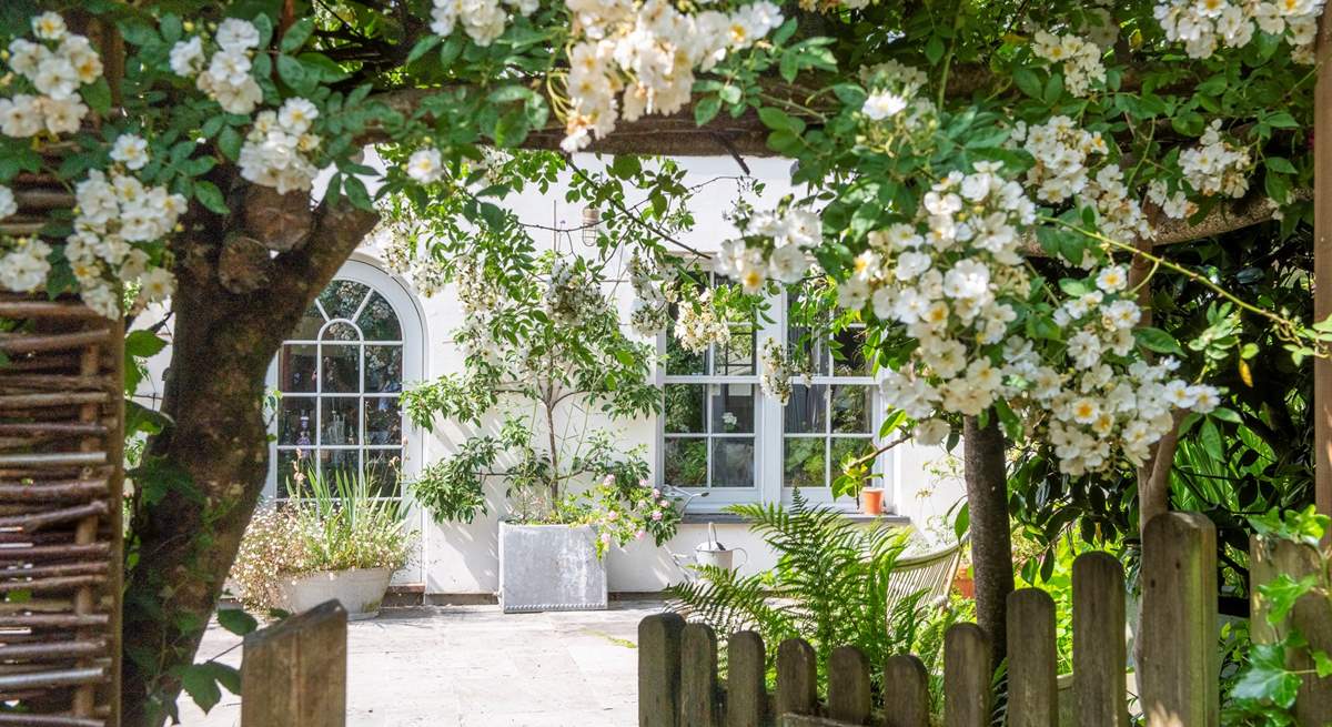 The rambling rose puts on a real show above the garden gate.