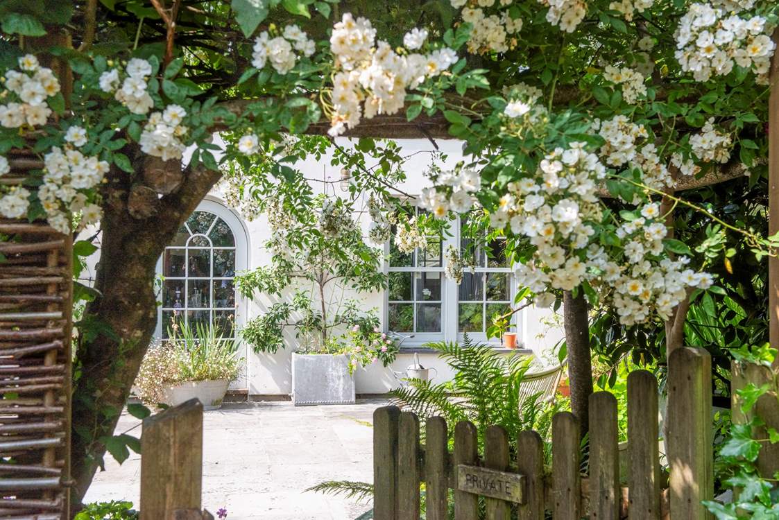 The rambling rose puts on a real show above the garden gate.