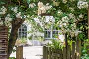 The rambling rose puts on a real show above the garden gate.