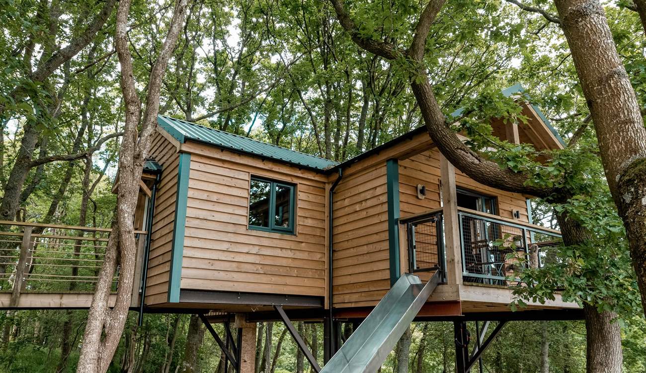 Awaken your sense of adventure and take to the slide! 