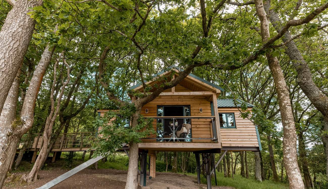 Our magnificent treehouse invites you to experience the dreamiest escape to nature... 