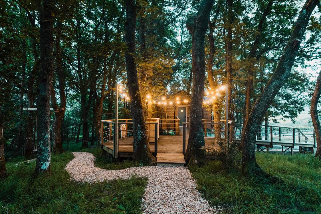 It's time to create your very own storybook adventure.