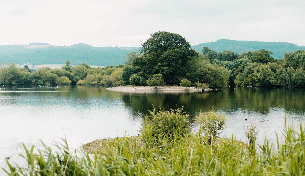 There's so much to explore nearby, such as Llyn Coed y Dinas nature reserve which is only 25 minutes away. 