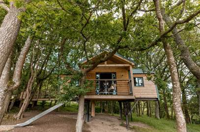 Ty Coedwig Treehouse in 3.3 miles SW of Newtown