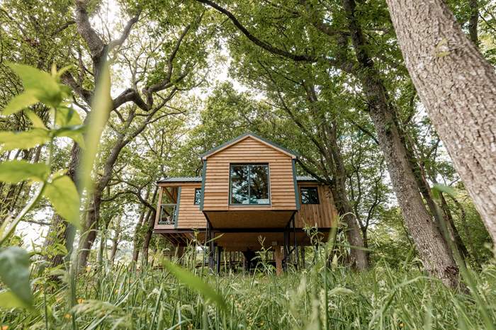 Ty Coedwig Treehouse is a Luxury treehouse with outdoor bath in Powys, Wales.