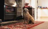 Your four-legged friends will also be welcome in this historic home. - Thumbnail Image