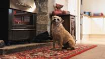 Your four-legged friends will also be welcome in this historic home.