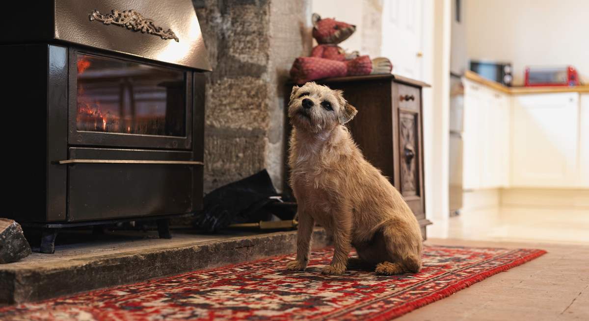 Your four-legged friends will also be welcome in this historic home.