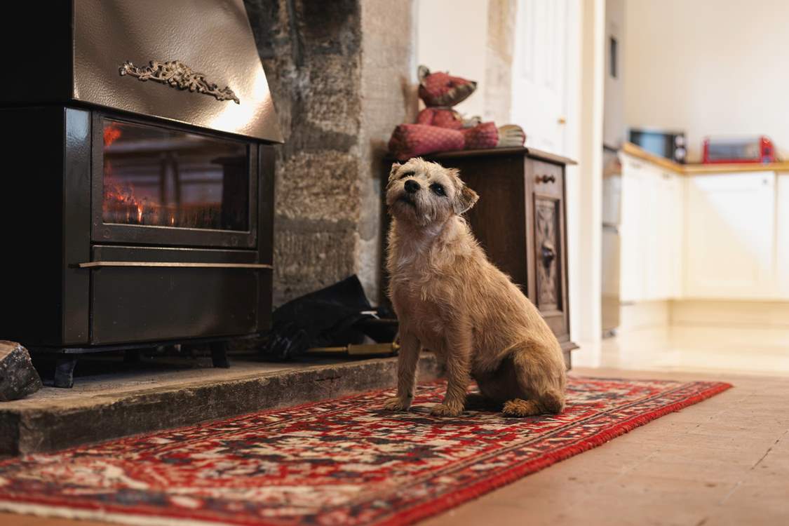Your four-legged friends will also be welcome in this historic home.
