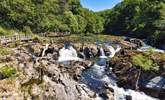 Magical Cenarth Falls are worth a visit, with the neighbouring Coracle Centre and cafe. - Thumbnail Image