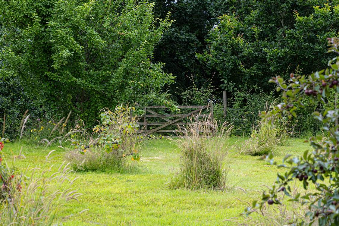 A total of five acres can be explored when staying at The Threshing Barn.