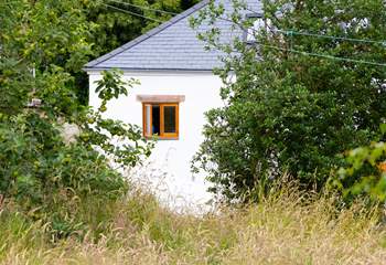 Rural Devon village life.