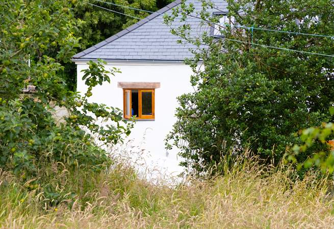 Rural Devon village life.