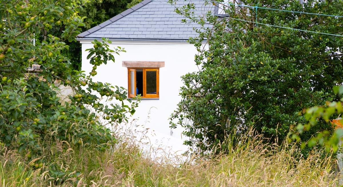 Rural Devon village life.