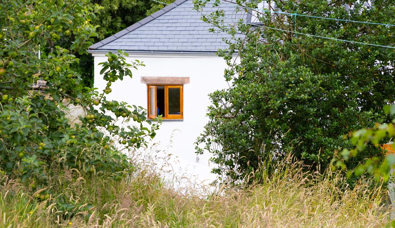 Rural Devon village life.