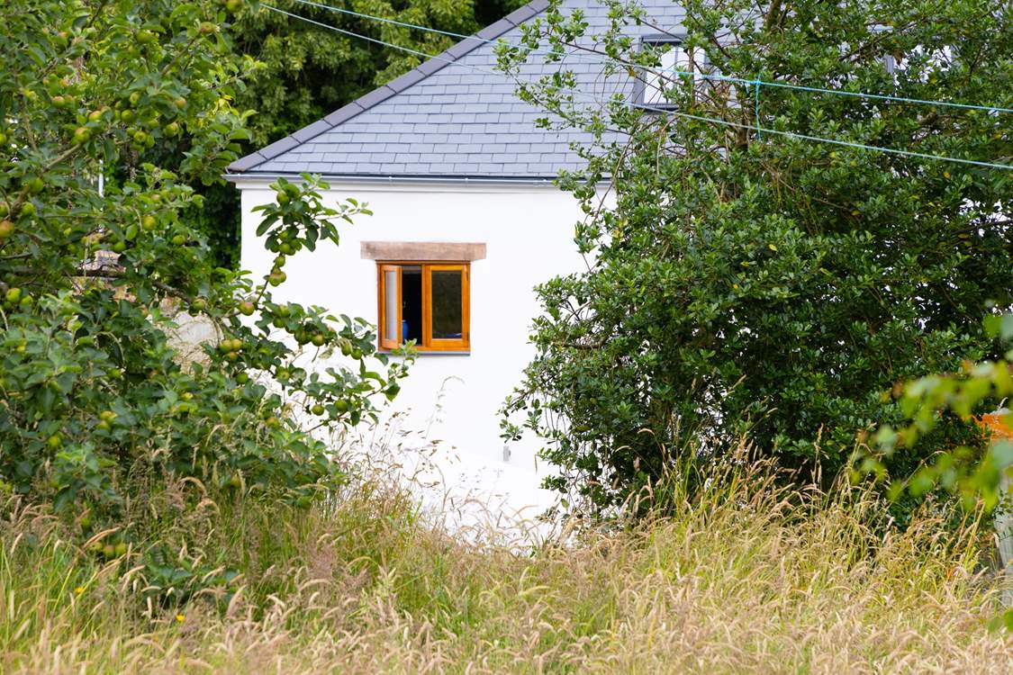 Rural Devon village life.
