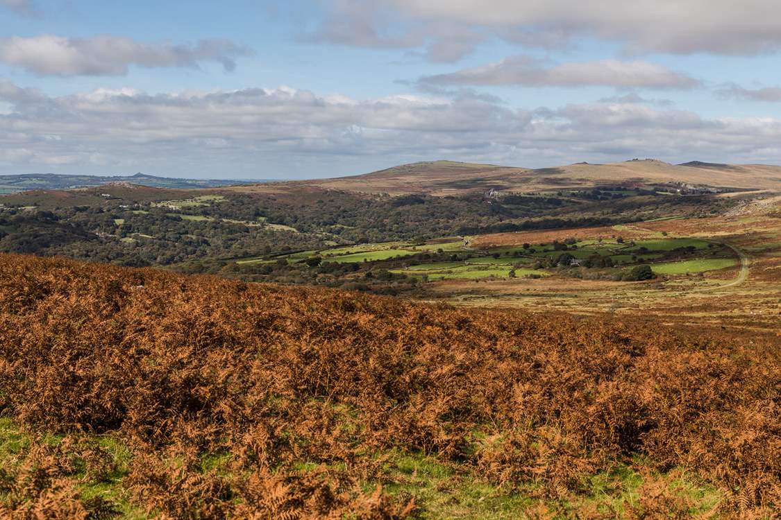 Dartmoor is perfect for the walkers amongst you.