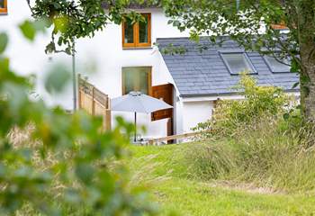 Head up through the garden or out across the wildflower meadow for your morning walk with the dogs.