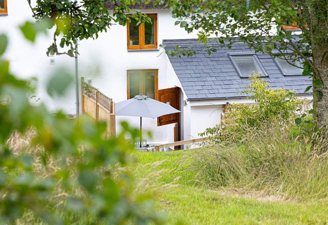 Head up through the garden or out across the wildflower meadow for your morning walk with the dogs.