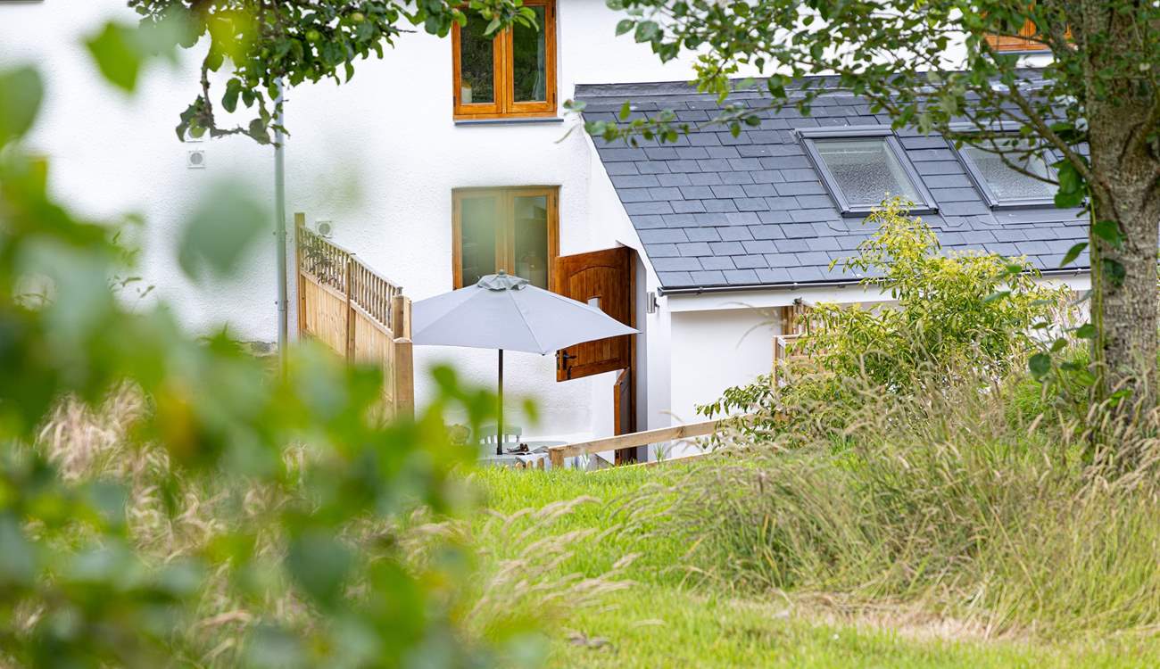 Head up through the garden or out across the wildflower meadow for your morning walk with the dogs.