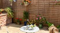 What a delightful courtyard garden!