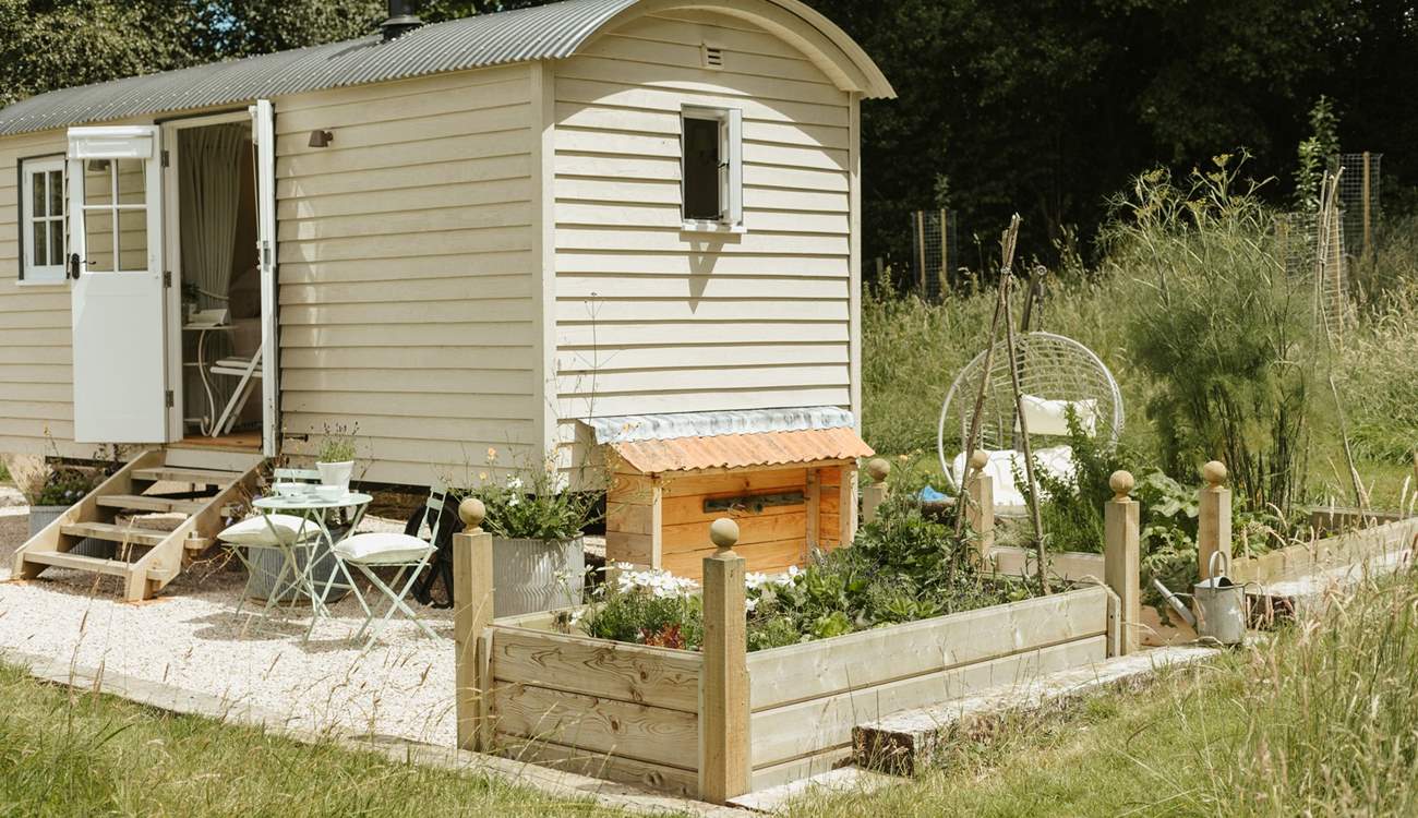 You are welcome to help yourself to delicious fresh herbs and salad from the raised beds. 