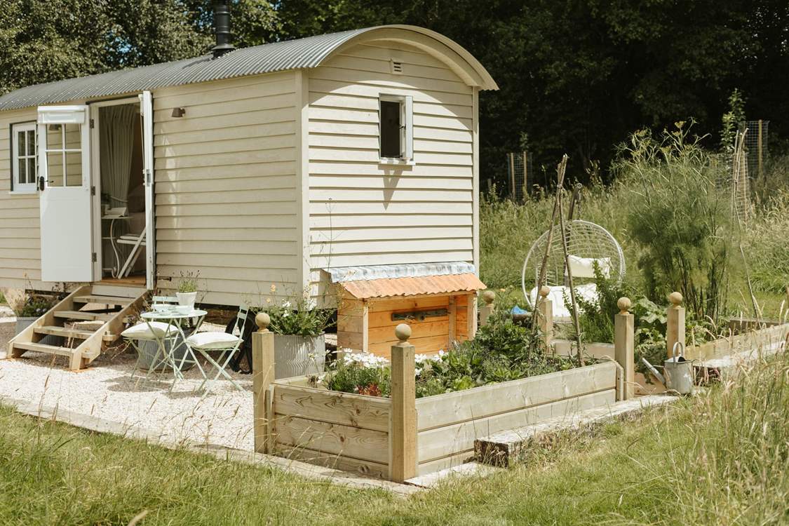 You are welcome to help yourself to delicious fresh herbs and salad from the raised beds.