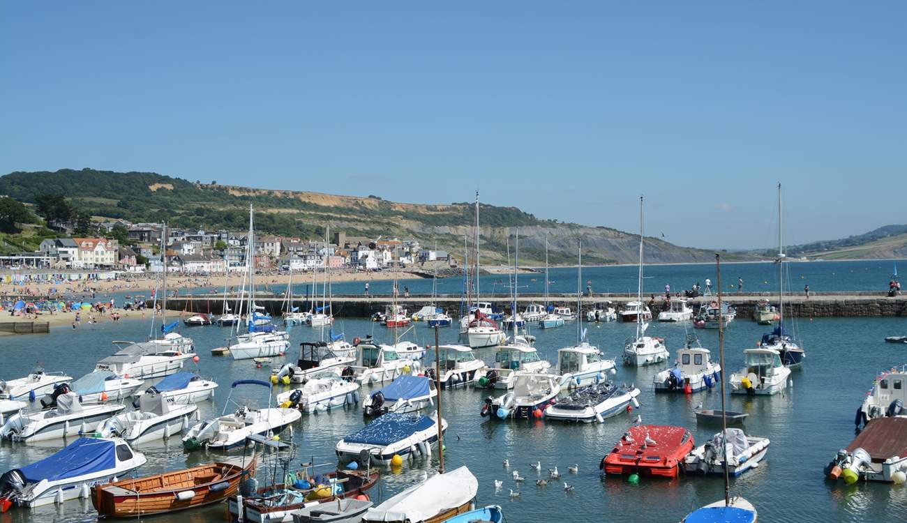Lovely Lyme Regis has fossils, a sandy beach, summer water sports, fishing trips, great restaurants, cafes, pubs and ice cream. What more could you wish for? 