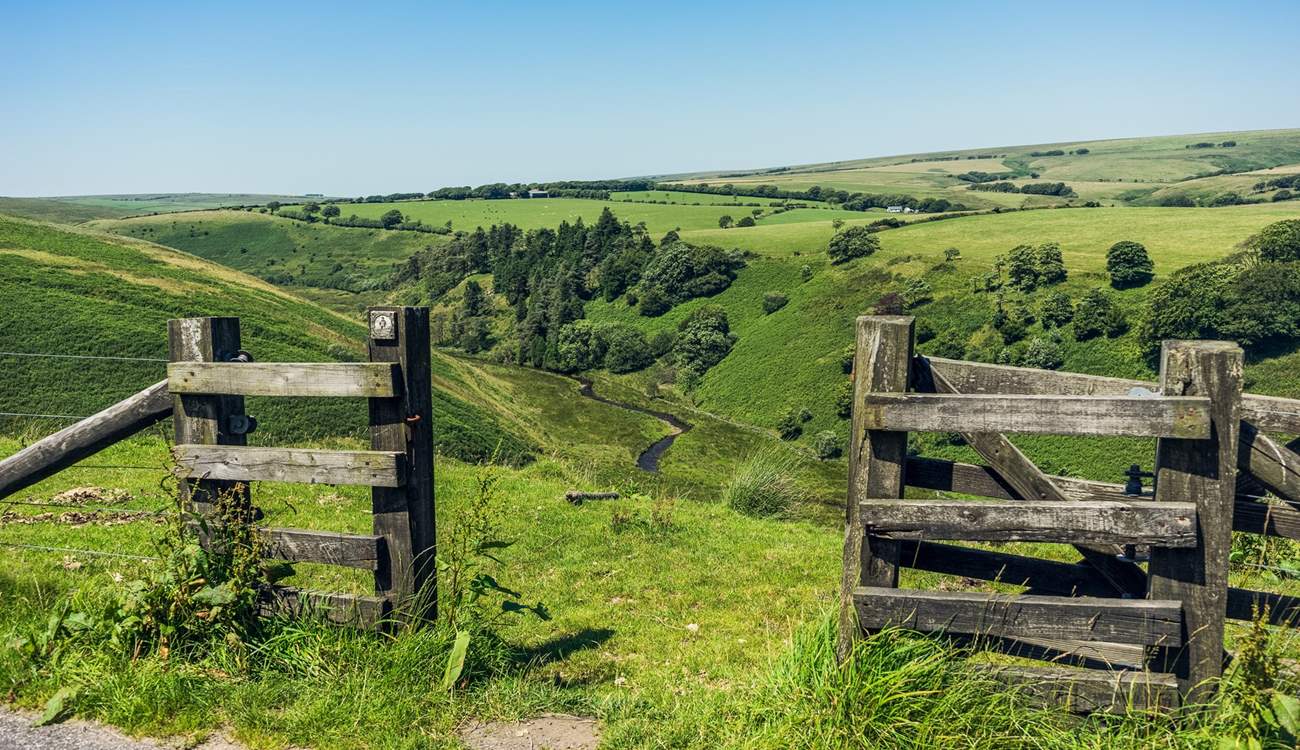 With rocky headlands, tumbling waterfalls and towering cliffs, nearby Exmoor National 
Park is really quite special. 