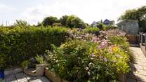 A garden full of bloom and colour.