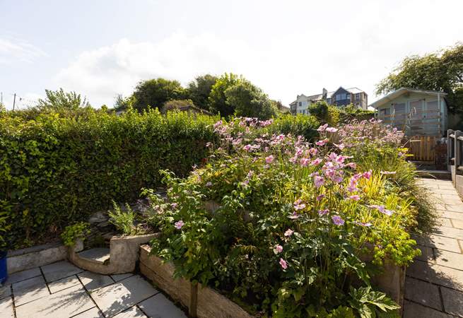 A garden full of bloom and colour.