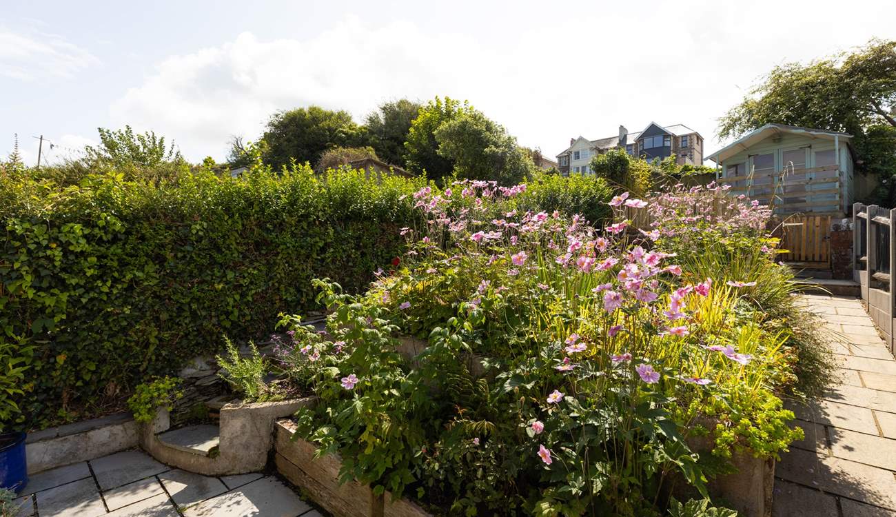 A garden full of bloom and colour.