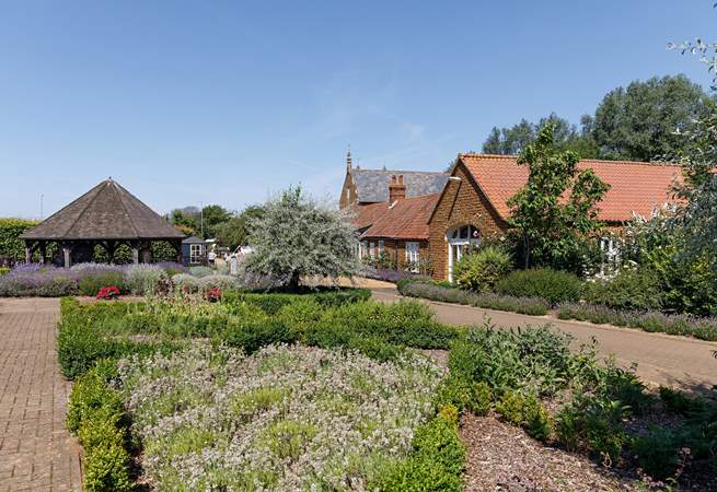 Discover the sights and scents of Norfolk Lavender.